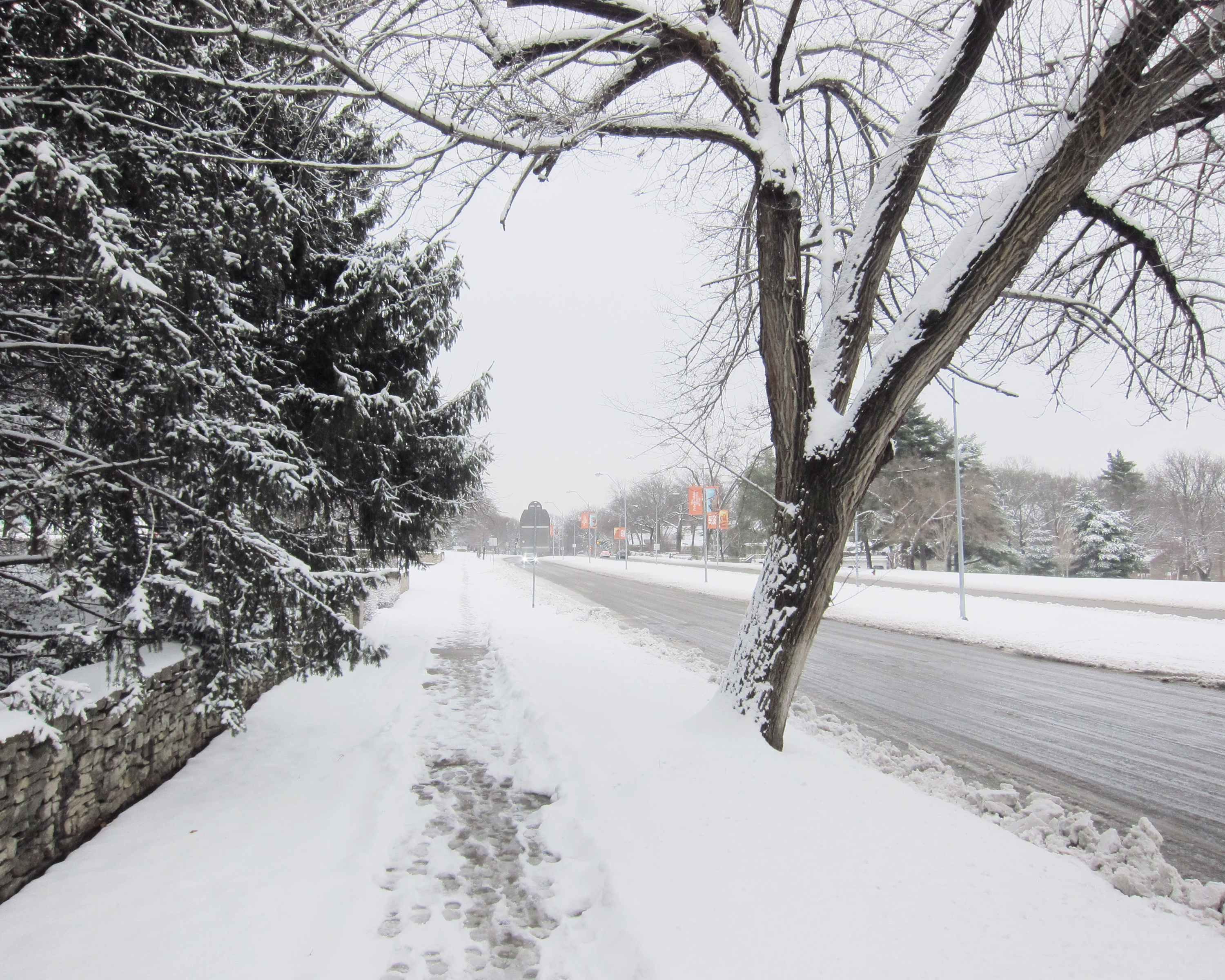 A snow-covered pathway lined with bare trees and evergreen shrubs, with footprints marking a trail through the white landscape. In the distance, a plowed street runs parallel, flanked by lamp posts and additional trees fading into the overcast winter atmosphere.