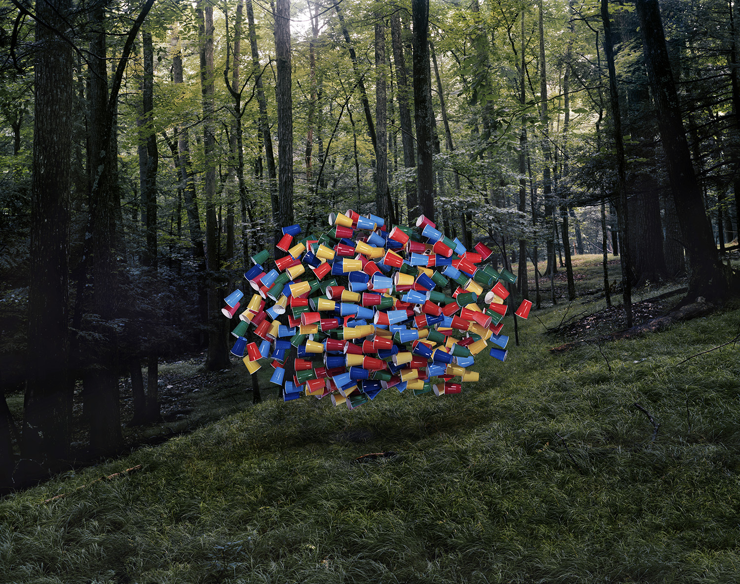 A vibrant cluster of red, blue, yellow, and green plastic cups floats suspended in a dense forest clearing, surrounded by tall dark tree trunks and green undergrowth.