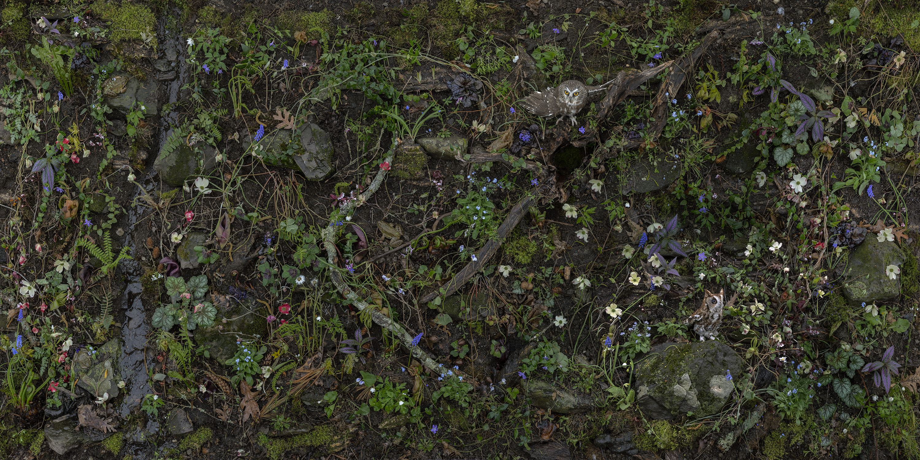 Overhead view of a densely woven garden floor featuring moss-covered stones, twisted branches, and delicate flowering plants in shades of blue, white, pink, and purple among rich green foliage and earth tones.