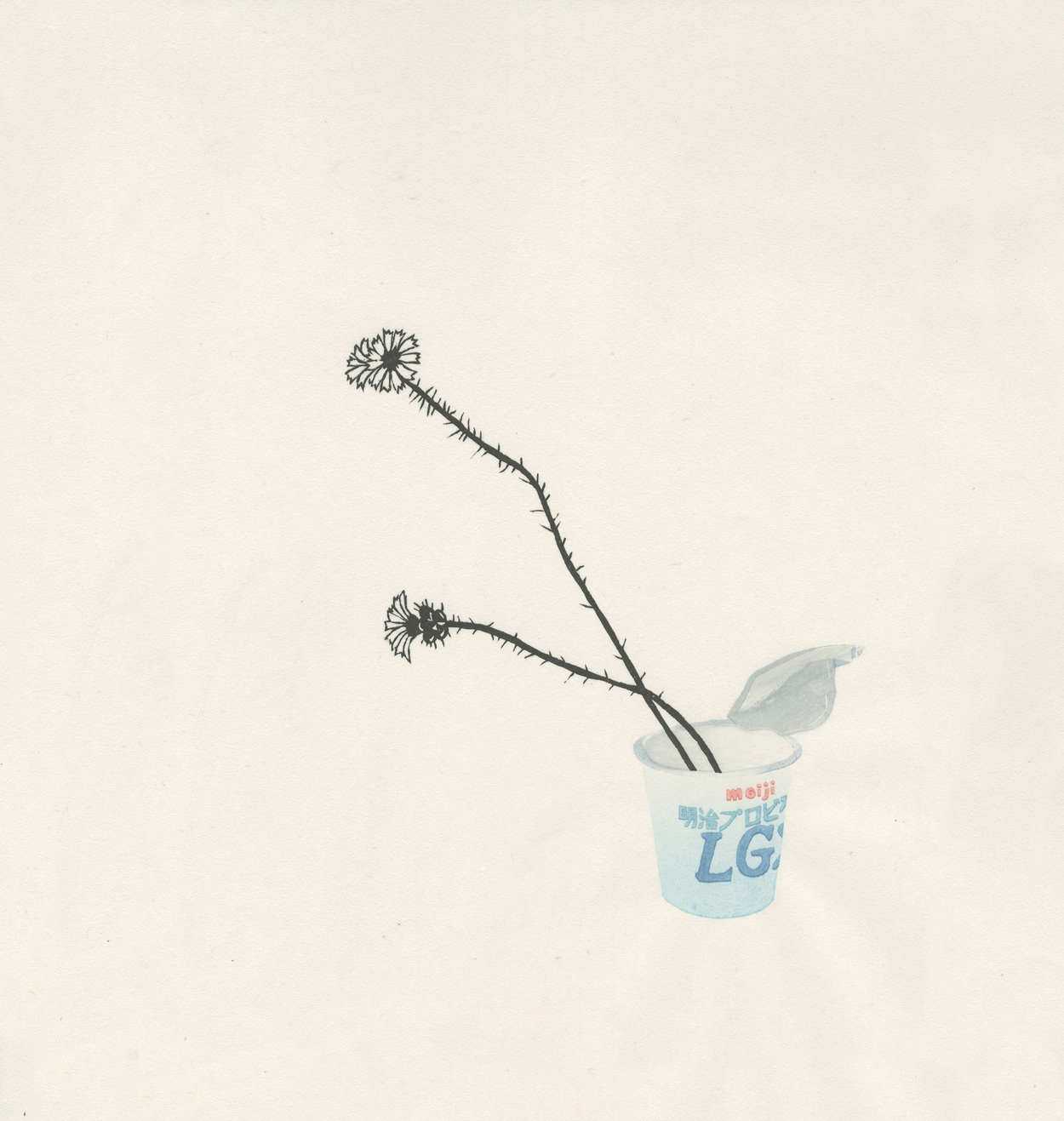 Delicate line drawing of a spiky-stemmed plant with small clustered flowers bending gracefully from a disposable yogurt cup printed with blue text and branding, rendered in black ink and subtle watercolor wash against cream paper.