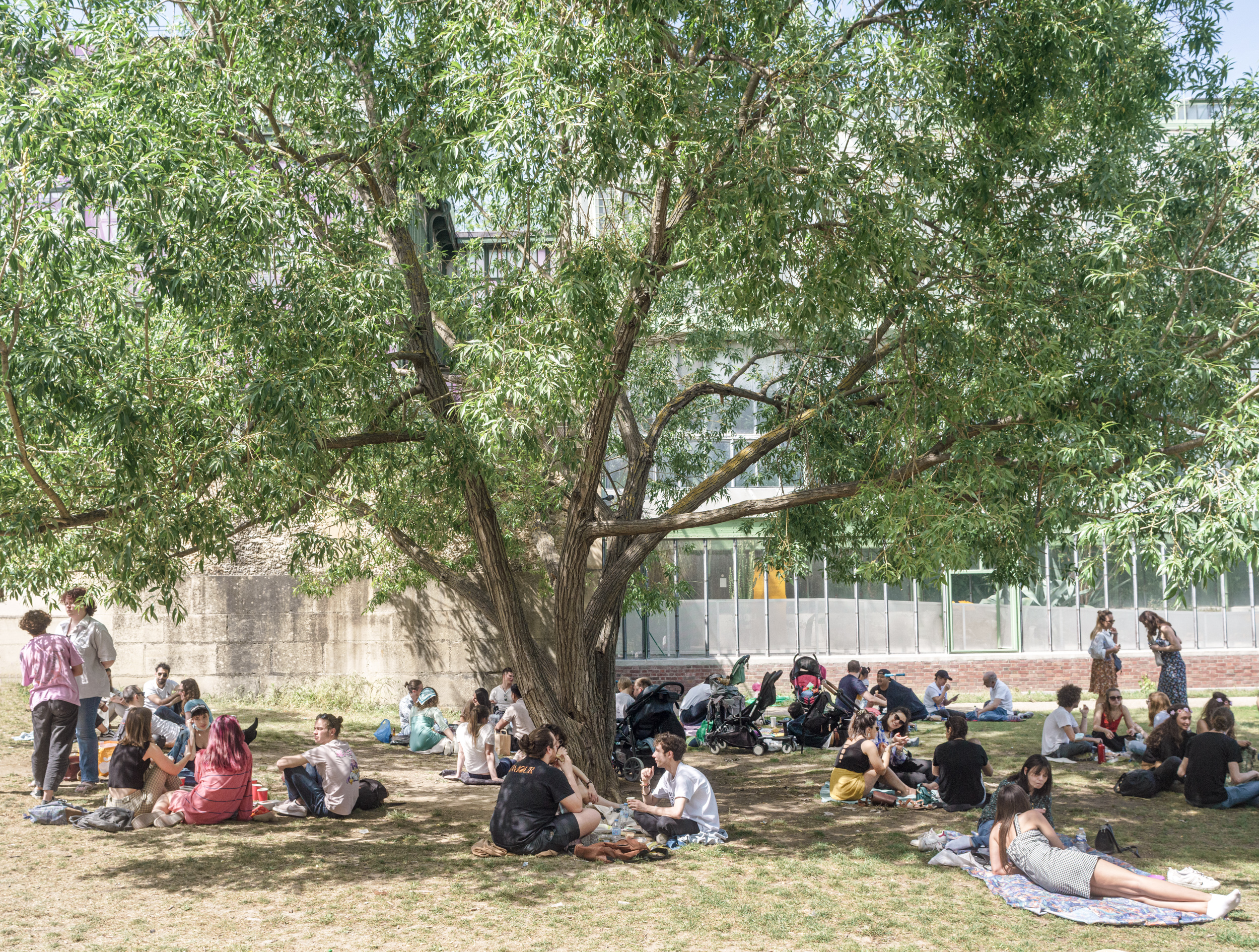 A large willow tree with drooping branches provides shade for a diverse group of students seated and lounging on grass in a courtyard. Modern institutional buildings with glass and brick facades frame the scene, while figures scattered throughout the space engage in casual conversation and relaxation on a sunny day.