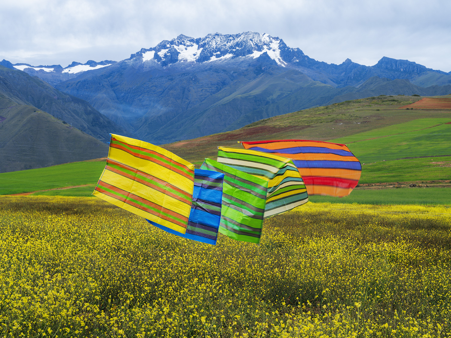 Three oversized colorful striped fabric sacks billow in the wind across a vast yellow flower field, with snow-capped mountains rising dramatically in the background under a cloudy sky.