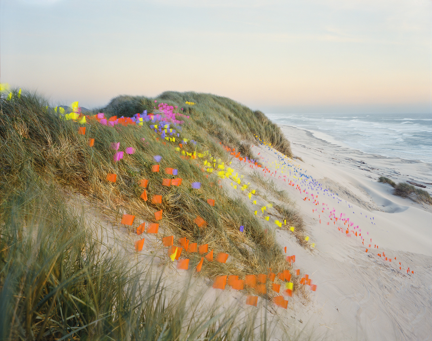 Colorful flags in orange, yellow, pink, purple, and blue are arranged in diagonal rows across coastal sand dunes covered with beach grass, descending toward a wide sandy beach and ocean beyond.
