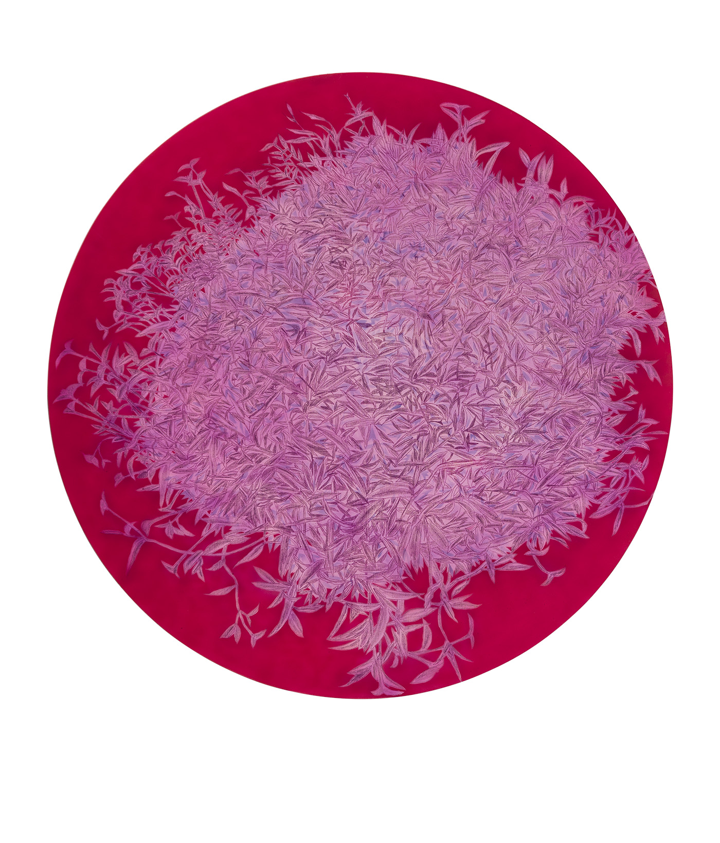 A circular composition in deep magenta and pale pink featuring densely layered linear marks radiating from the center outward, creating a textured, organic pattern that suggests movement or dispersal against the saturated background.