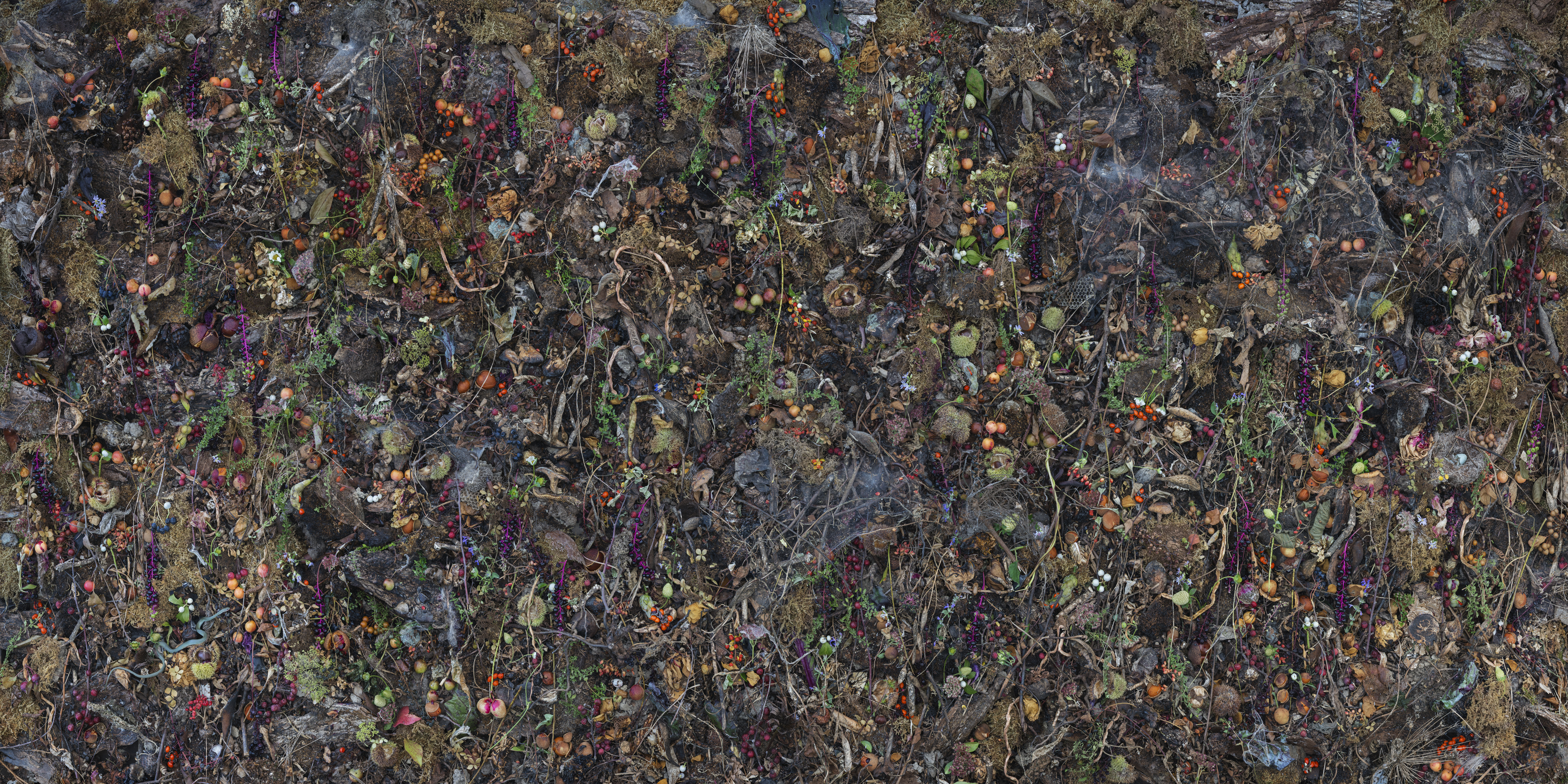 Dense, overhead composition of dried flowers, berries, seeds, and botanical specimens arranged across a dark, textured surface in shades of purple, orange, green, and cream, creating an intricate, all-over pattern suggestive of a natural collection or herbarium.