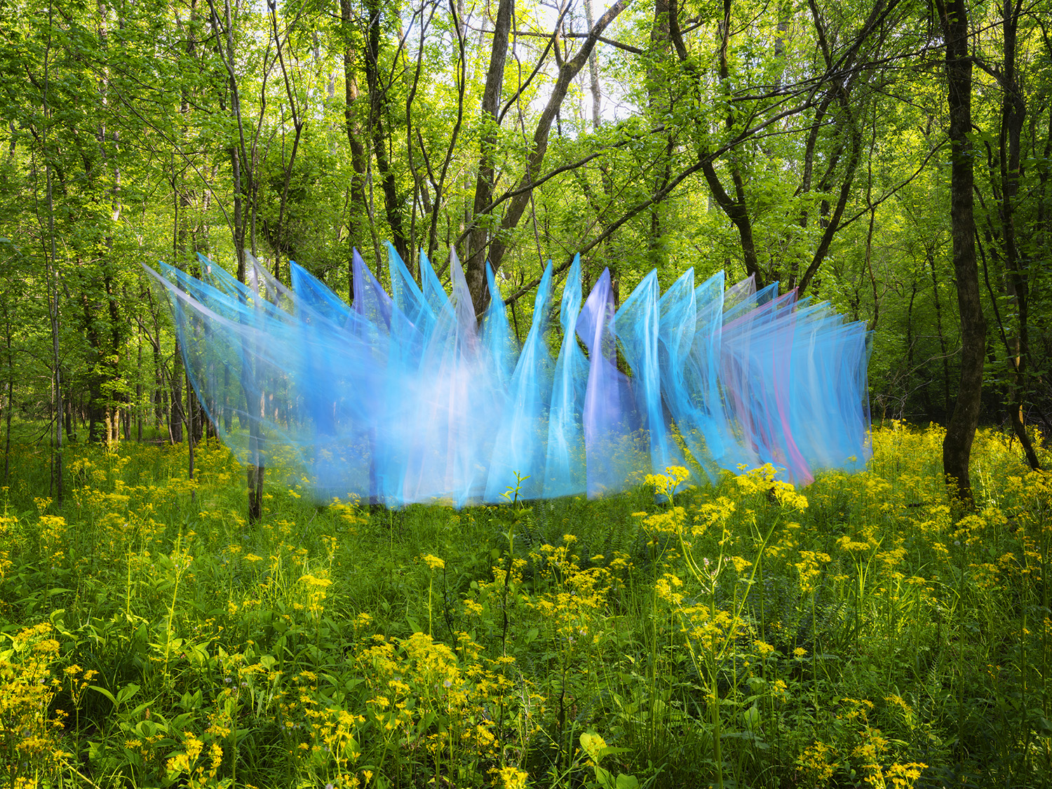 Translucent blue and purple fabric suspended between trees in a sunlit forest clearing dotted with yellow wildflowers, creating an ethereal, billowing form that contrasts with the natural green woodland surroundings.