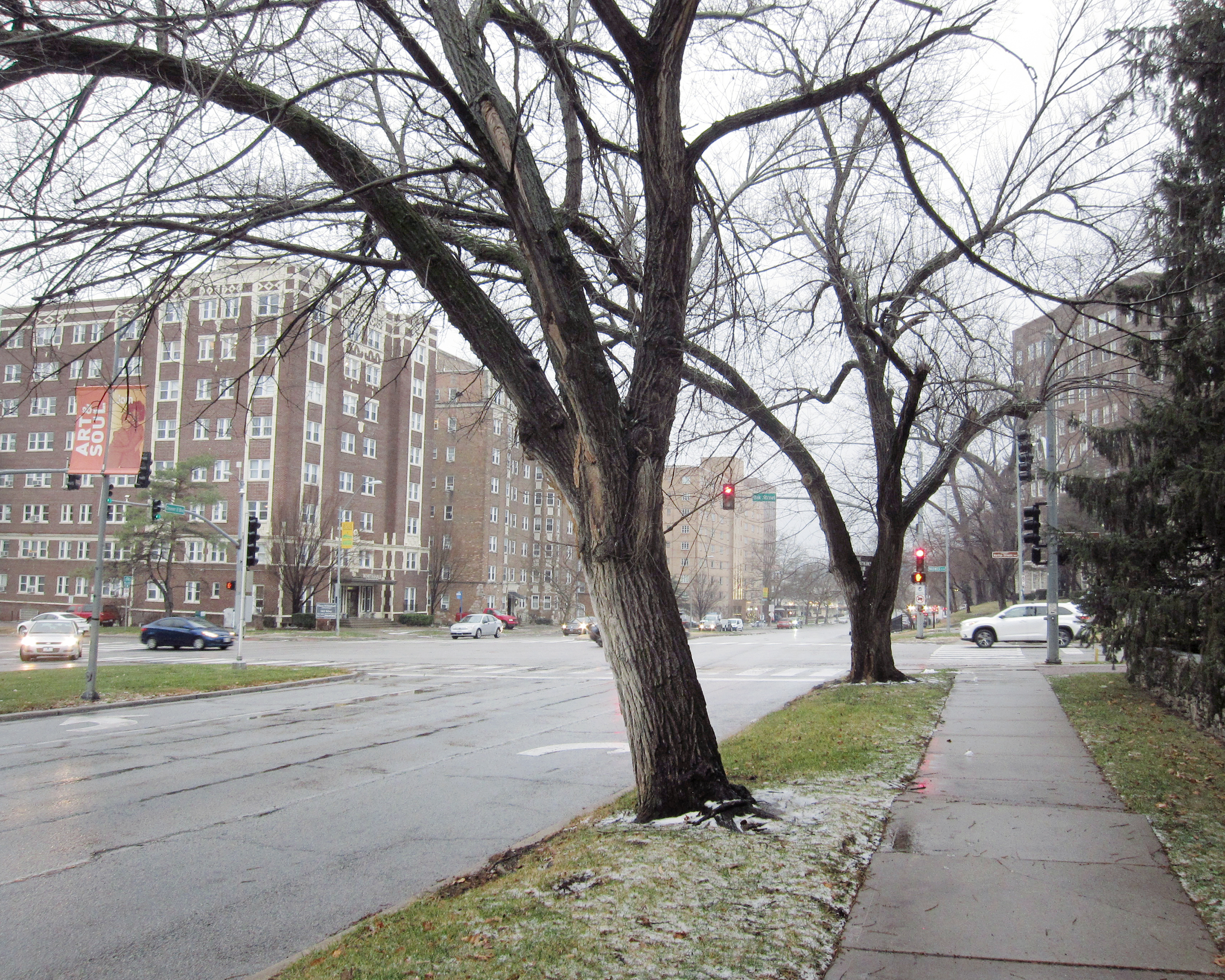 Bare-branched trees line a sidewalk and street intersection in an urban residential area, with brick apartment buildings visible in the background under an overcast sky. The composition captures the skeletal forms of dormant winter trees against a cityscape of mid-rise buildings and traffic signals.
