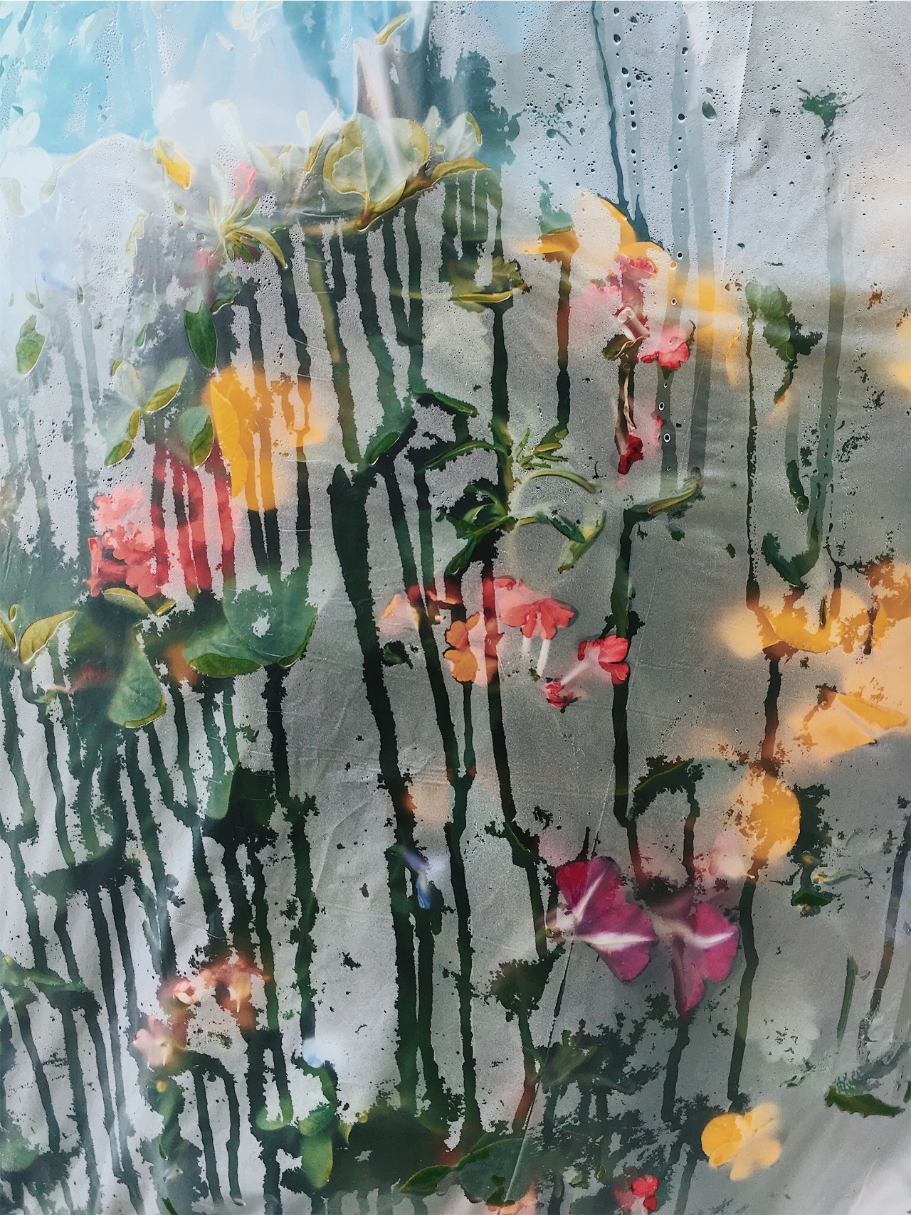 Layered abstract composition featuring delicate flowers in pink, yellow, and red tones overlaid with vertical black lines and gestural marks on a translucent, rain-streaked surface in soft blues and whites.