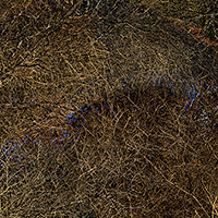 Dense network of intertwining dark branches and twigs against a warm brown and ochre ground, creating an intricate, tangled linear composition across the entire frame.