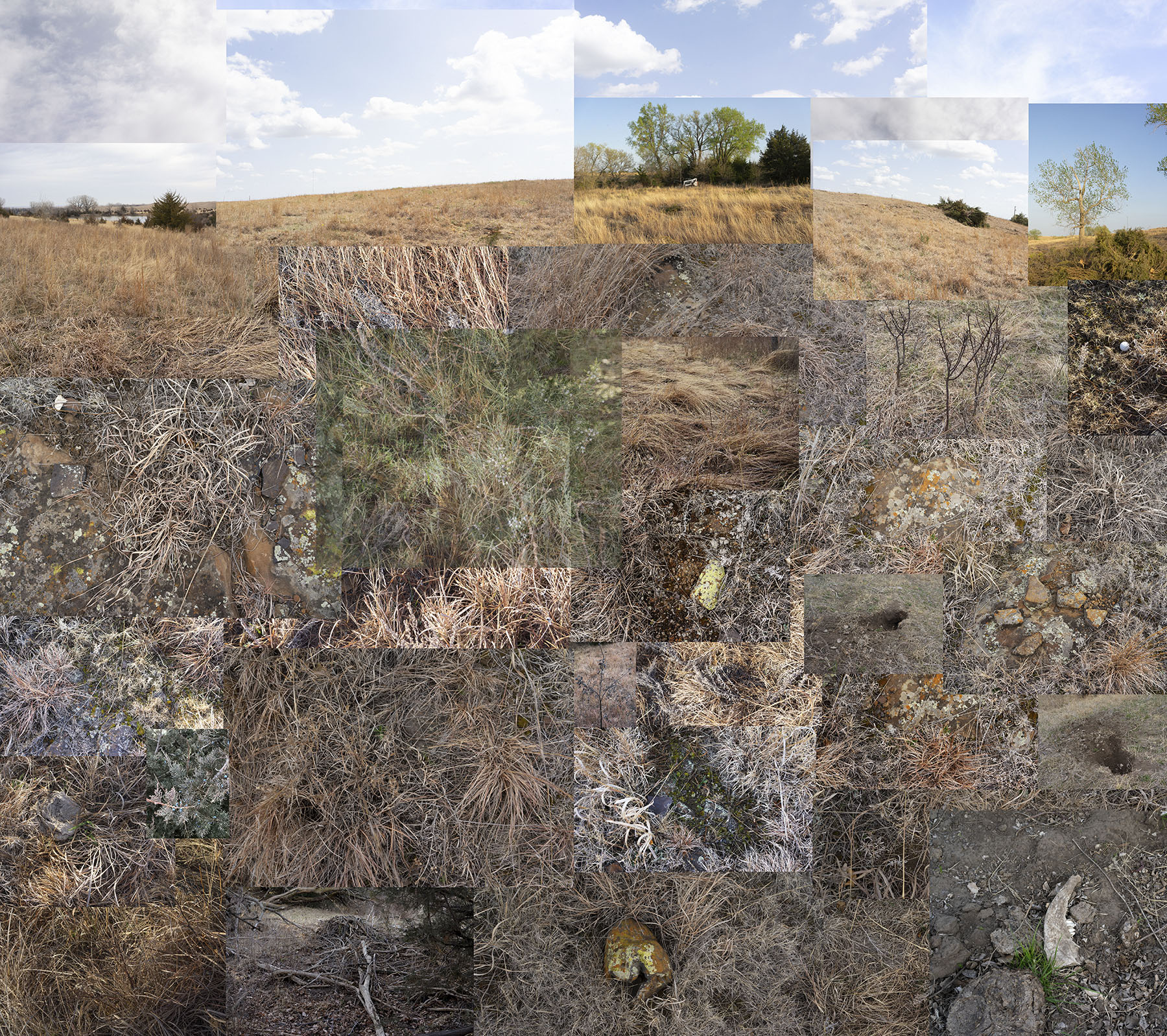 A fragmented collage of overlapping rectangular photographs depicting a rural hillside landscape with dry grasses, scattered vegetation, lichen-covered stones, and distant trees under a partly cloudy sky, creating a layered, mosaic-like composition that fragments and reassembles the same terrain from multiple perspectives.