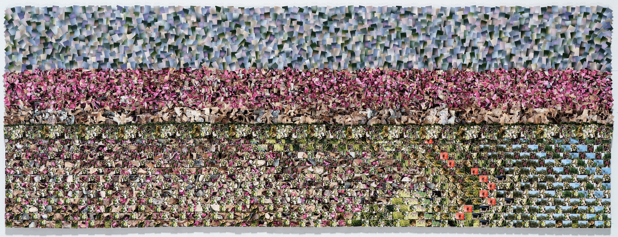 Horizontal composition made up of hundreds of small photographic squares arranged in horizontal bands of varying colors—pale blues and grays at top, transitioning through vibrant magentas and pinks, warm beiges and tans, creamy whites and yellows, to rich greens and sky blues at bottom. Each square contains densely detailed imagery of flowers, gardens, and natural landscapes, creating an intricate mosaic-like surface.