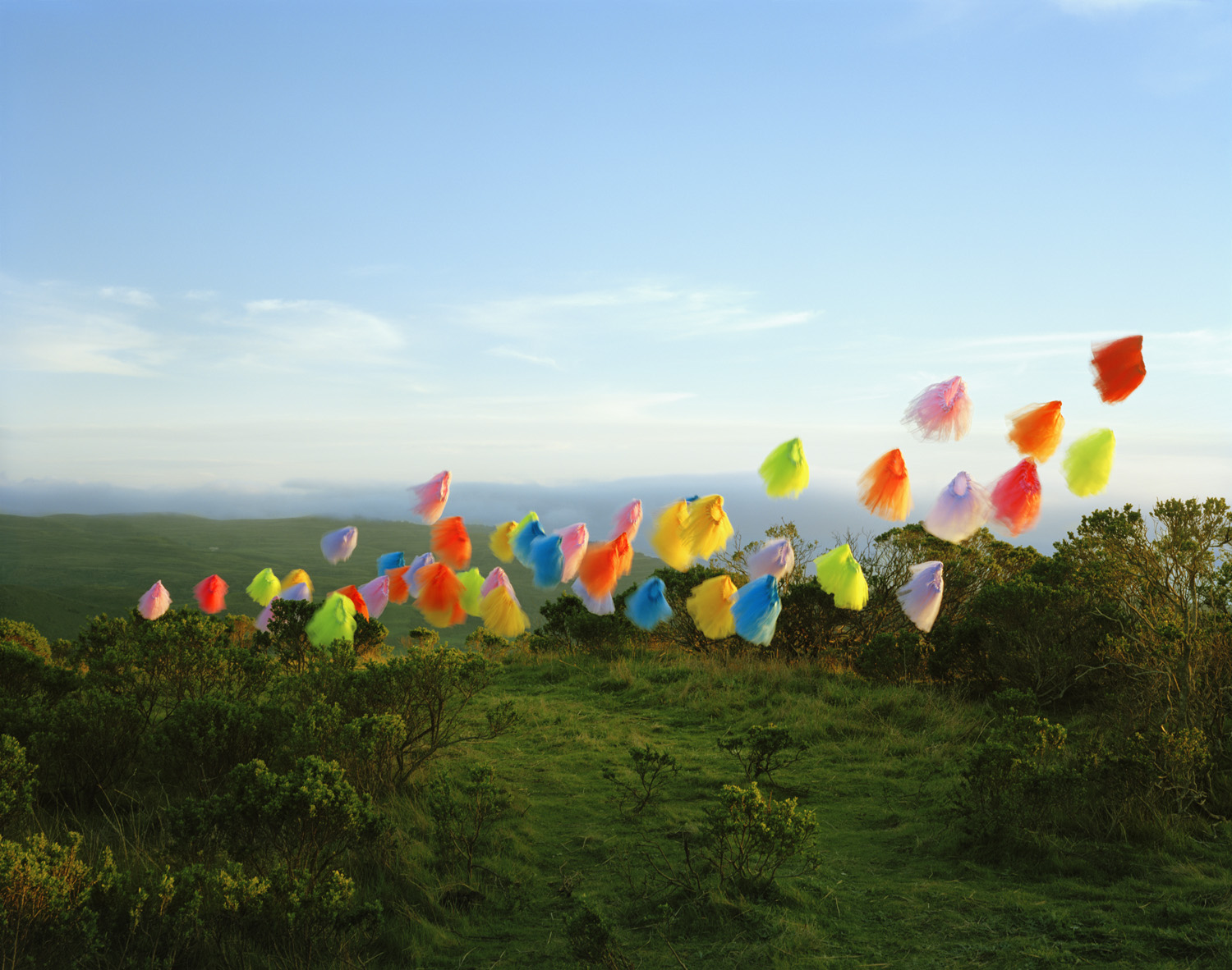 Colorful fabric tutus in vibrant hues of red, yellow, blue, pink, and green flutter across a rolling green hillside dotted with low vegetation, with a distant ocean horizon and pale blue sky above.