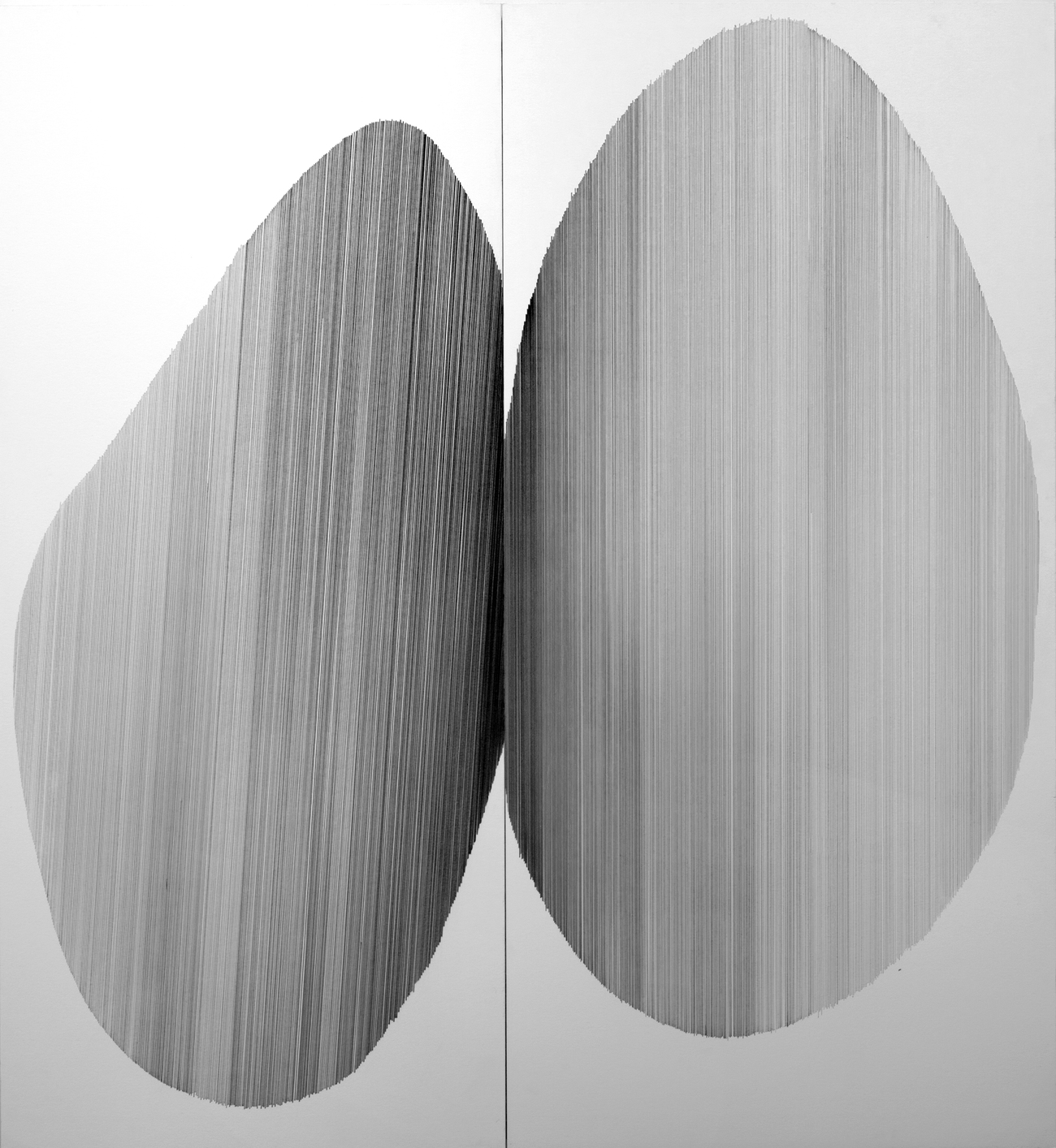 Two large oval forms rendered in fine parallel lines create a sense of three-dimensional volume against a light background, with a subtle shadow separating them down the center.