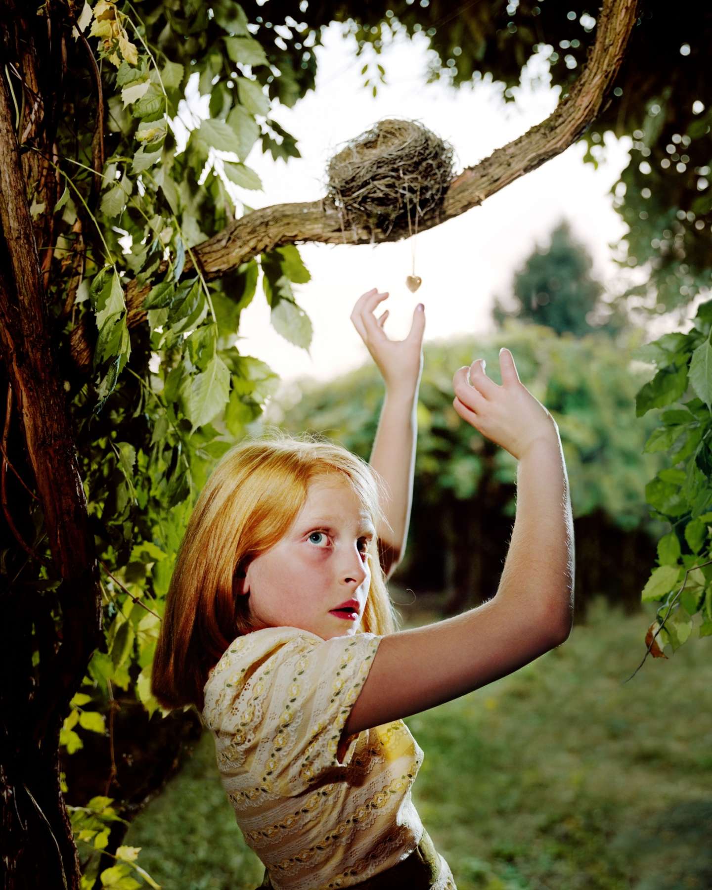 A young girl with reddish-blonde hair stands beneath a gnarled tree branch, reaching upward with both arms toward a bird's nest. She wears a pale yellow patterned dress and gazes upward with an expression of wonder. Lush green foliage frames the composition on either side, while a soft, overexposed sky and blurred forest backdrop create an ethereal atmosphere.