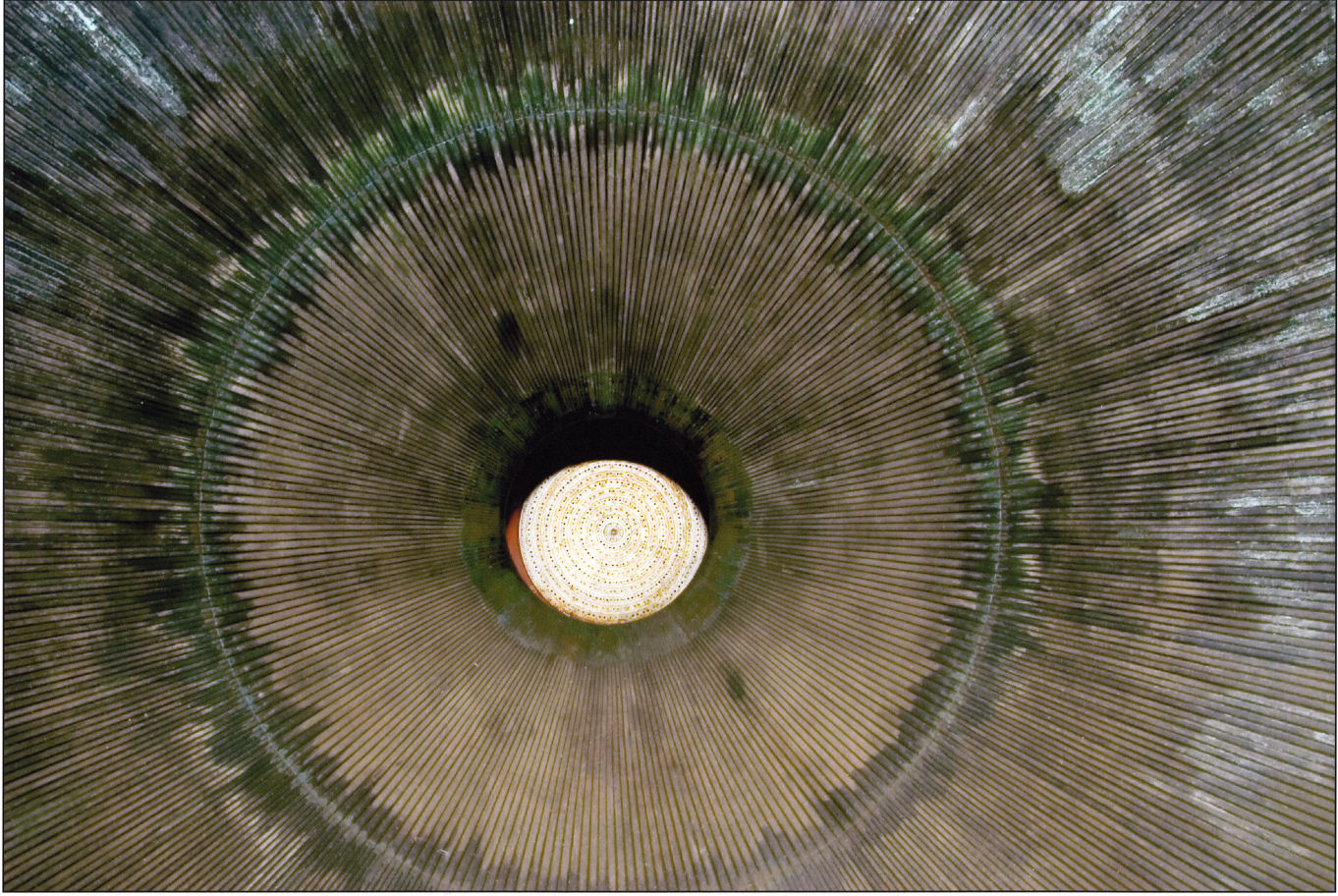 Concentric circles in shades of green, tan, and cream radiate outward from a luminous pale center, creating a hypnotic, tunnel-like composition. Fine linear striations throughout the composition suggest organic growth patterns or microscopic detail rendered at monumental scale.
