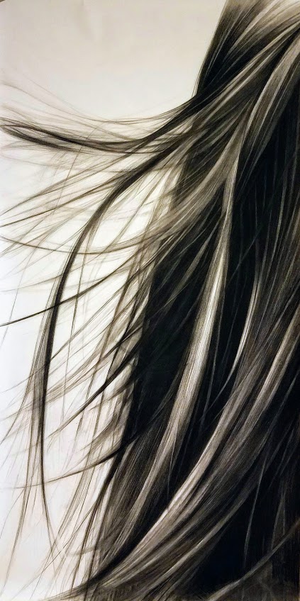 Long strands of dark hair rendered in charcoal sweep diagonally across a light background, creating flowing, dynamic movement. The delicate layering of black and gray tones suggests wind-blown texture, with individual strands appearing to float and undulate across the composition.