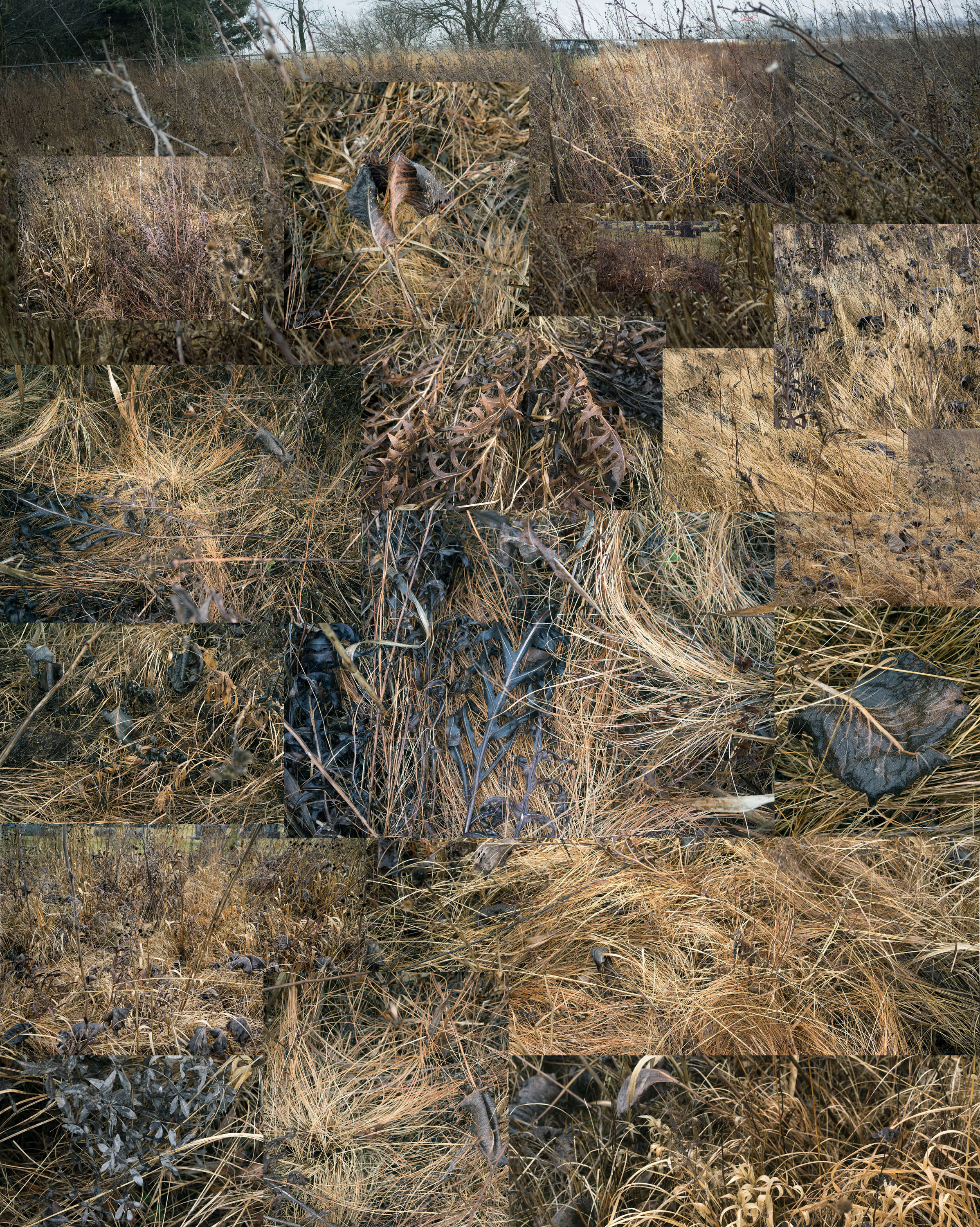 A composite photograph of a winter prairie landscape with dormant grasses, bare branches, and exposed earth tones arranged in an overlapping grid pattern. The layered composition creates a fragmented view of the natural terrain, emphasizing the textural details of dried vegetation and soil in shades of brown, tan, and muted green.