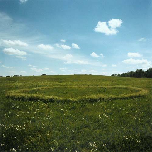 A vast, flat prairie landscape filled with mixed grasses and wildflowers, including white daisies scattered across the foreground. The horizon stretches wide beneath a bright blue sky dotted with white clouds, with distant tree lines visible at the edges.