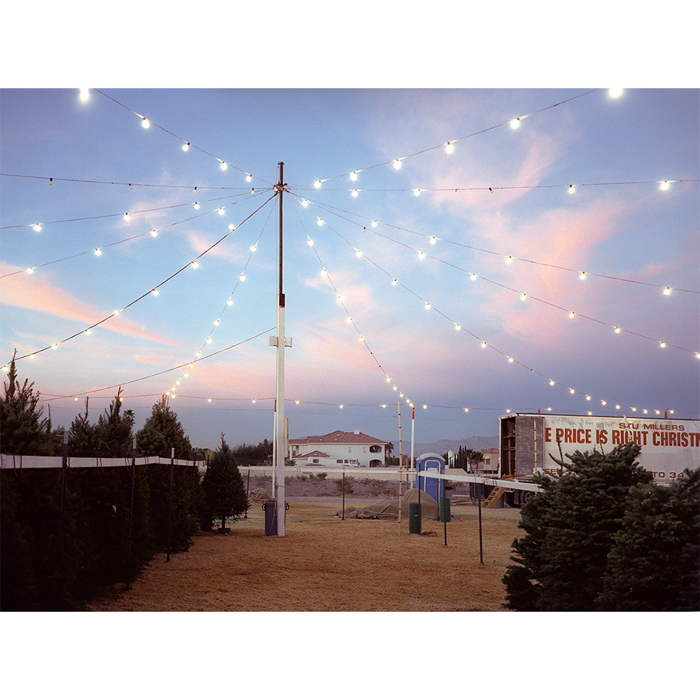 Twilight landscape featuring a tall central pole strung with radiating lines of warm white lights creating a canopy effect over a desert ground. Evergreen trees frame the composition on either sides, with a distant building and billboard visible against a dusky sky transitioning from blue to soft pink and purple hues.