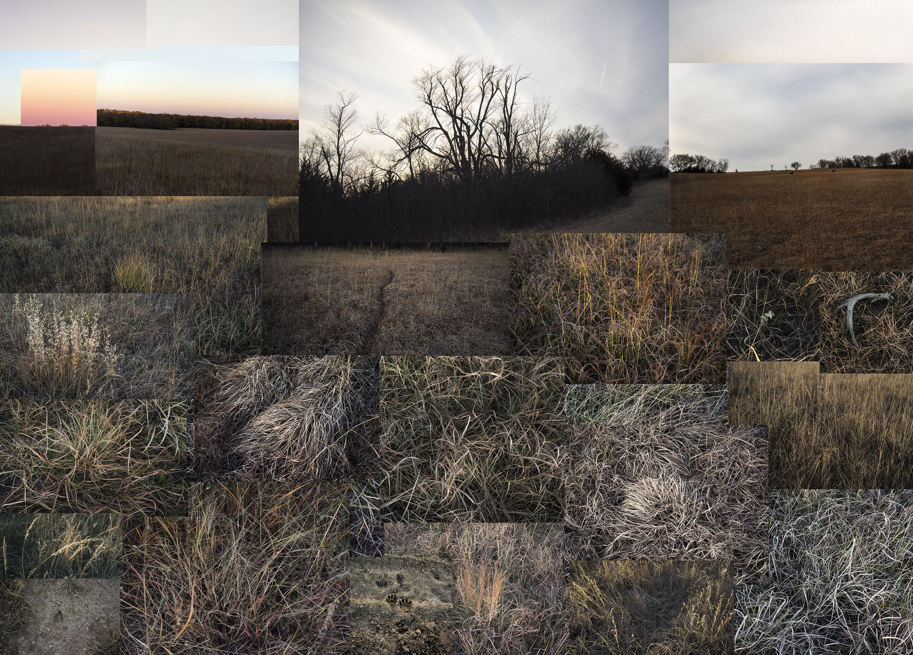 A collaged landscape of rural fields and bare trees, composed of multiple overlapping rectangular photographic sections showing dried grasses, distant treelines, and overcast sky in muted earth tones and grays.