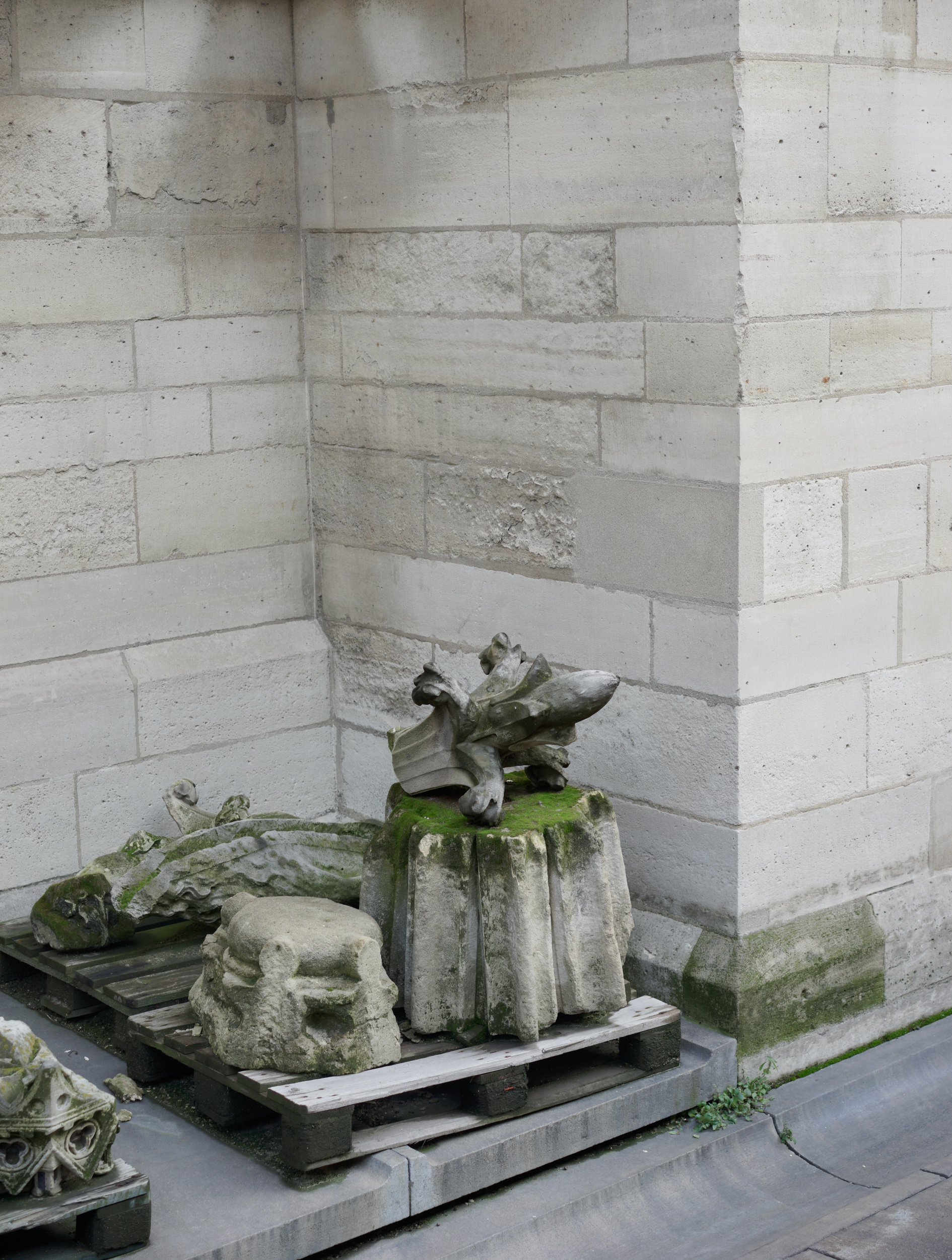 Stone architectural fragments and carved sculptural elements arranged on wooden pallets against a corner of light-colored brick walls. The collection includes a weathered stone head, decorative moldings, a winged gargoyle figure, and a crocodile or dragon form, all showing patina and moss growth from age.