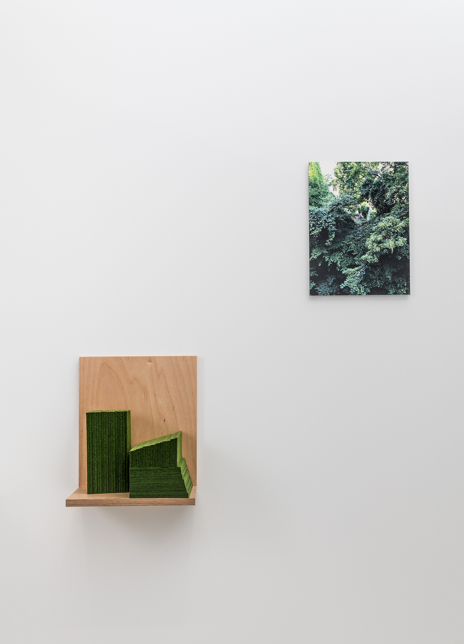 Two artworks mounted on a white gallery wall: a wooden shelf structure on the lower left displaying geometric moss-green felt forms against natural plywood, and above it to the right, a framed photograph of dense green foliage and tree canopy.