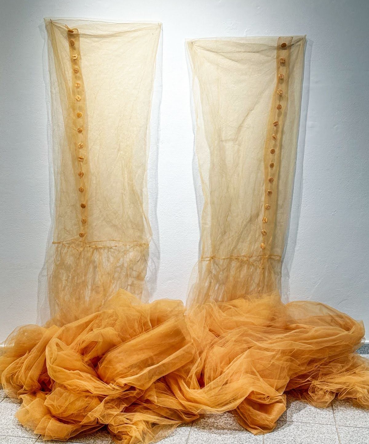 Two translucent cream-colored tulle panels hang vertically on a white wall, each fastened with a vertical line of golden-brown buttons, while pools of crumpled golden-orange tulle fabric gather at their base, creating a composition that explores the relationship between constraint, draping, and material fragility.