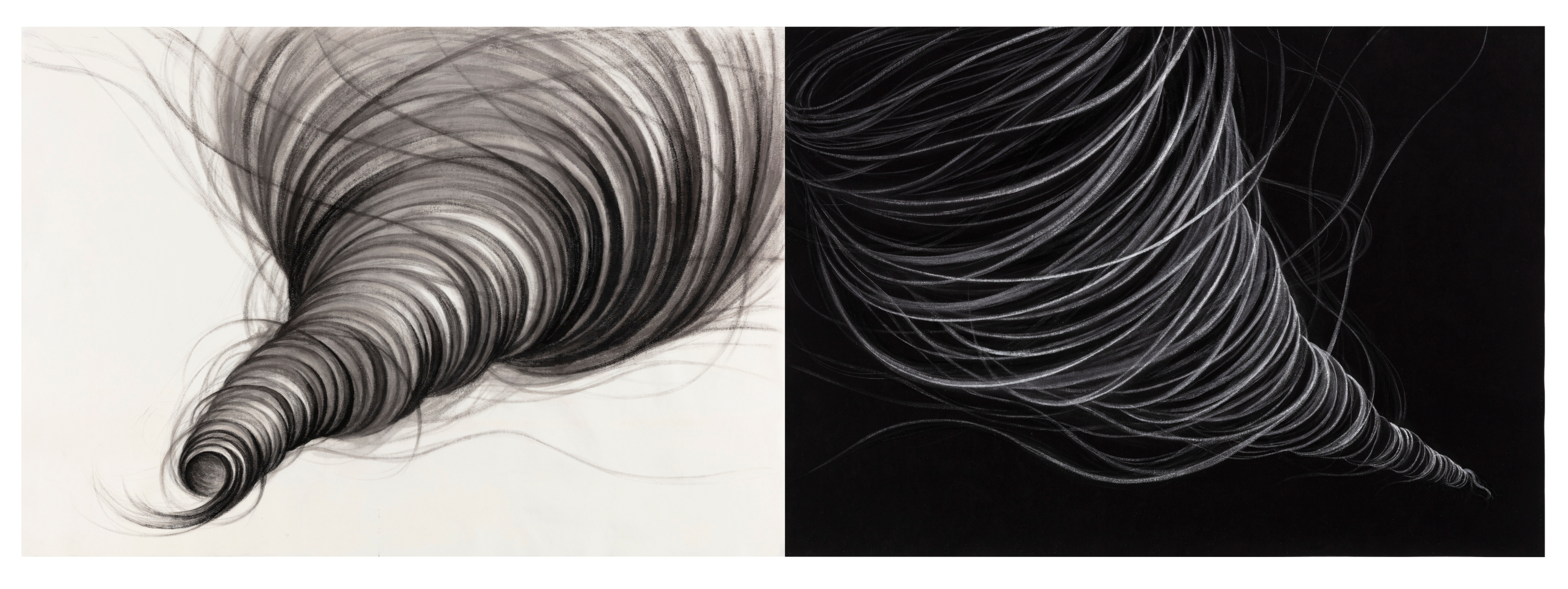 Diptych showing a spiraling form rendered in charcoal and ink, depicted on light background at left and dark background at right. The composition features tightly wound, hair-like linear strokes that taper to a fine point, creating a sense of movement and density that gradually diminishes toward the bottom.