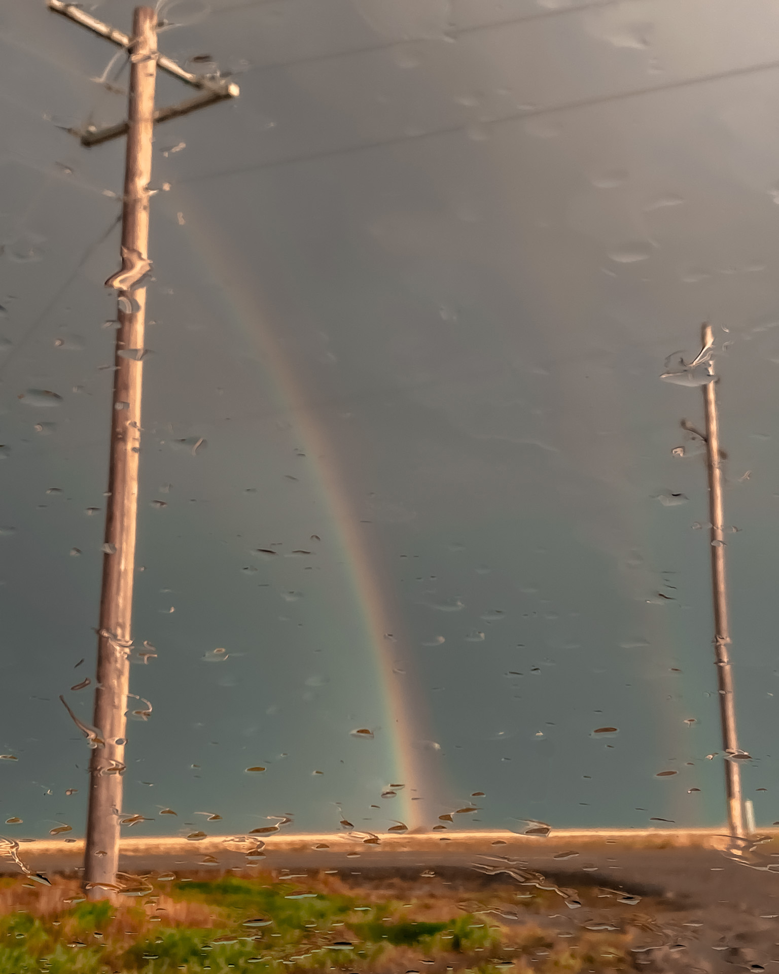 Two weathered wooden poles frame a misty landscape with a shaft of golden sunlight breaking through gray storm clouds, small insects scattered across the wet ground and air, creating a contemplative scene of solitude and natural beauty.