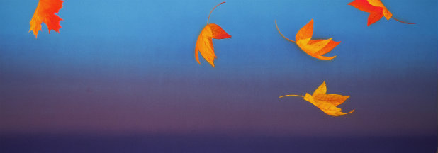 Golden and orange autumn leaves suspended against a gradient sky transitioning from deep blue at the top to purple and dark tones below, evoking a twilight moment of seasonal transition.